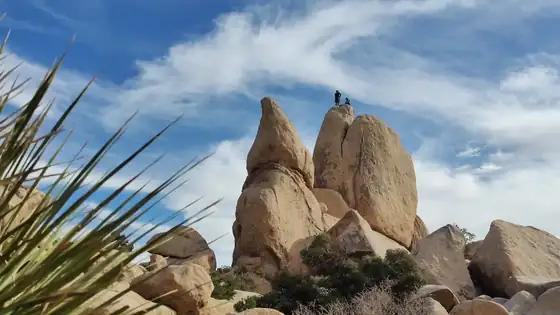 Boulders and desert scrub at Joshua Tree National Park