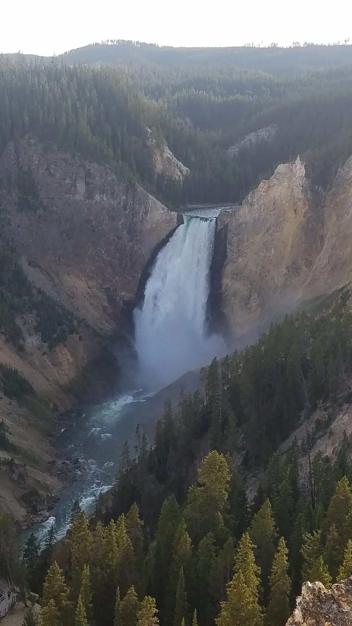 Grand Canyon of the Yellowstone, WY