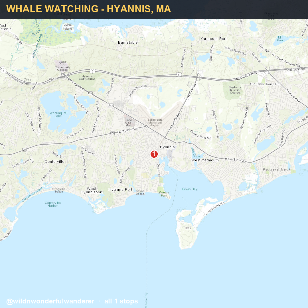 Map thumbnail for the Hyannis whale-watching route