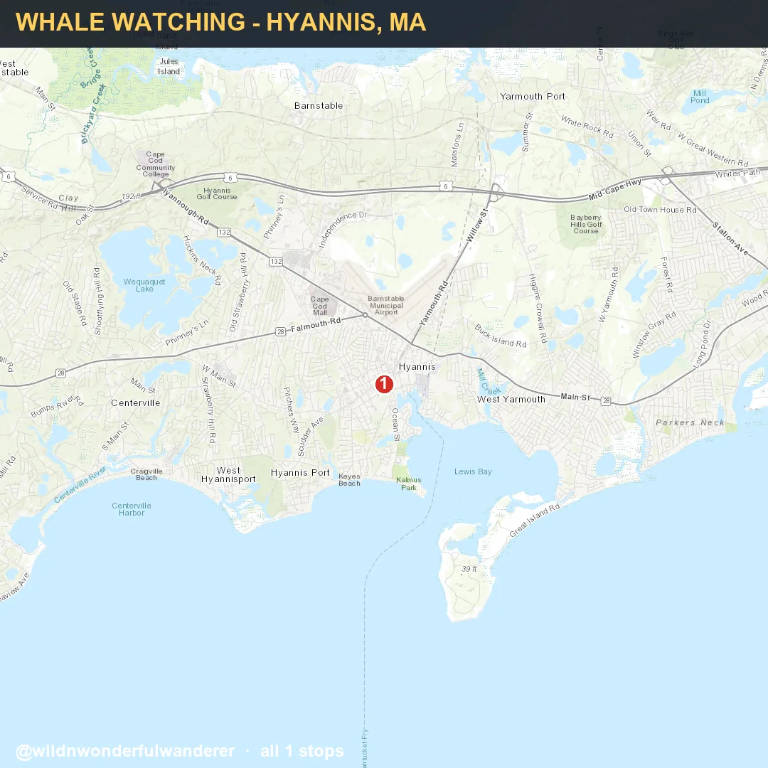 Map thumbnail for the Hyannis whale-watching route