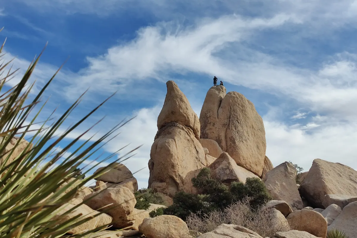 Boulders and desert scrub at Joshua Tree National Park