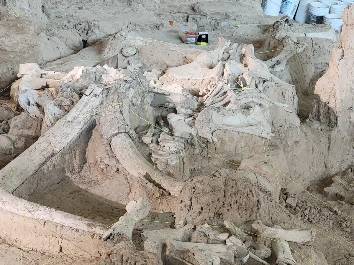 Waco Mammoth, TX